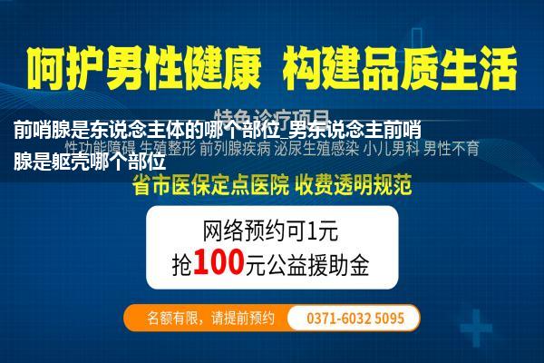 前哨腺是东说念主体的哪个部位_男东说念主前哨腺是躯壳哪个部位