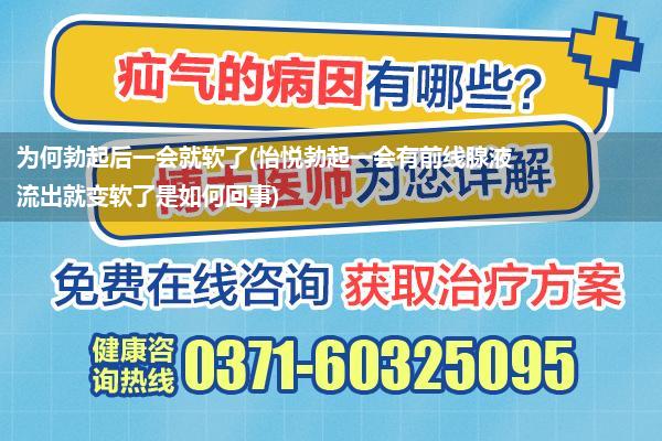 为何勃起后一会就软了(怡悦勃起一会有前线腺液流出就变软了是如何回事)