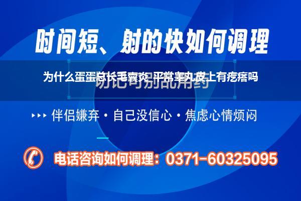 为什么蛋蛋总长毛囊炎_平常睾丸皮上有疙瘩吗