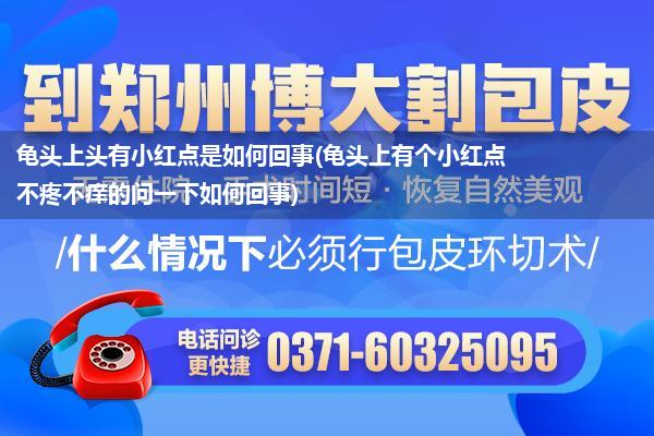 龟头上头有小红点是如何回事(龟头上有个小红点不疼不痒的问一下如何回事)