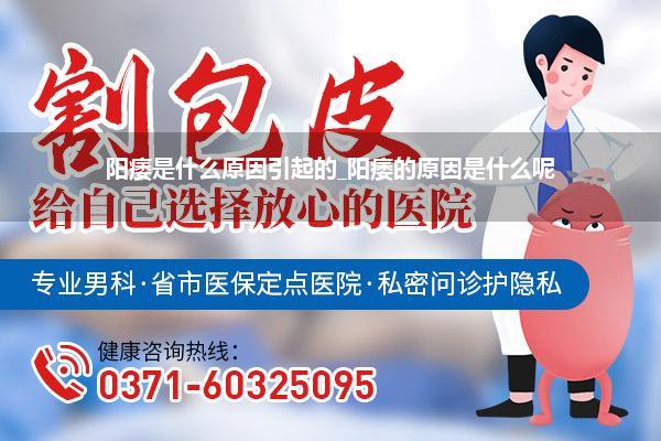 阳痿是什么原因引起的_阳痿的原因是什么呢