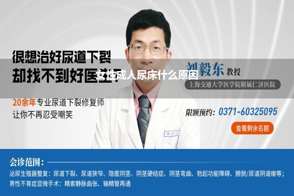 女性成人尿床什么原因